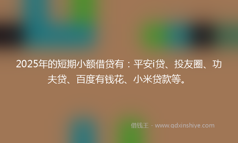 2025年的短期小额借贷有：平安i贷、投友圈、功夫贷、百度有钱花、小米贷款等。