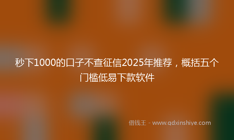秒下1000的口子不查征信2025年推荐，概括五个门槛低易下款软件