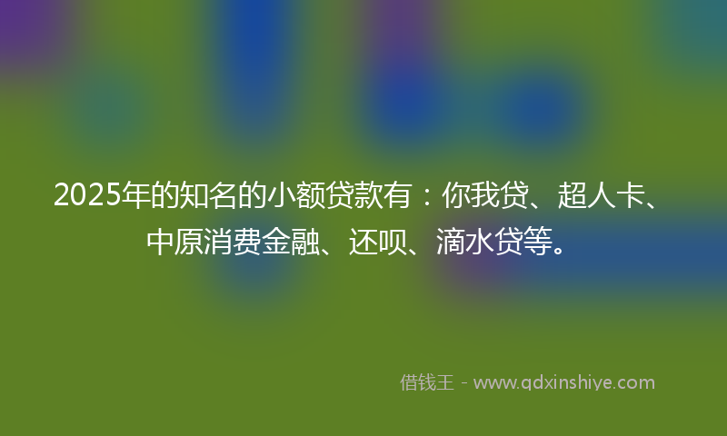 2025年的知名的小额贷款有：你我贷、超人卡、中原消费金融、还呗、滴水贷等。
