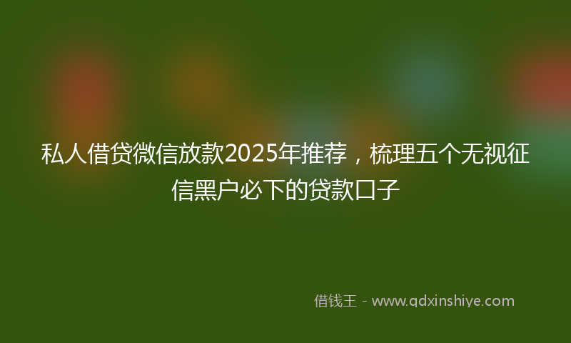 私人借贷微信放款2025年推荐，梳理五个无视征信黑户必下的贷款口子