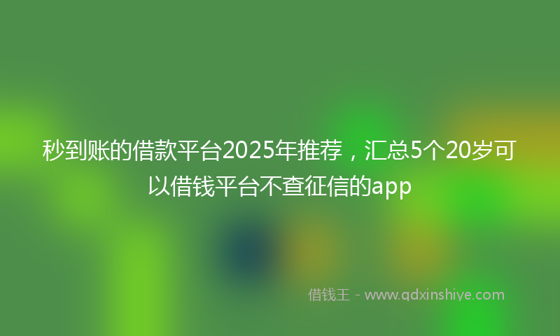 秒到账的借款平台2025年推荐，汇总5个20岁可以借钱平台不查征信的app