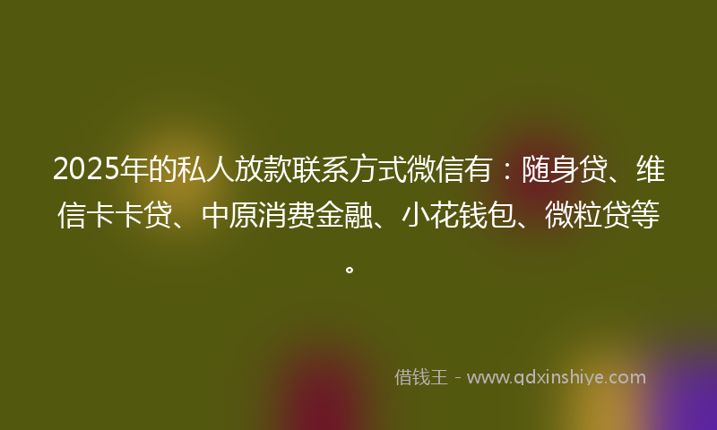 2025年的私人放款联系方式微信有：随身贷、维信卡卡贷、中原消费金融、小花钱包、微粒贷等。