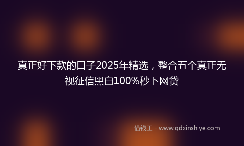 真正好下款的口子2025年精选,整合五个真正无视征信黑白100%秒下网贷