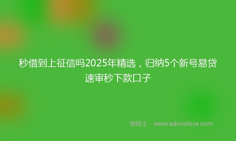 秒借到上征信吗2025年精选，归纳5个新号易贷速审秒下款口子