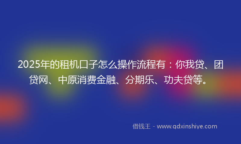 2025年的租机口子怎么操作流程有：你我贷、团贷网、中原消费金融、分期乐、功夫贷等。