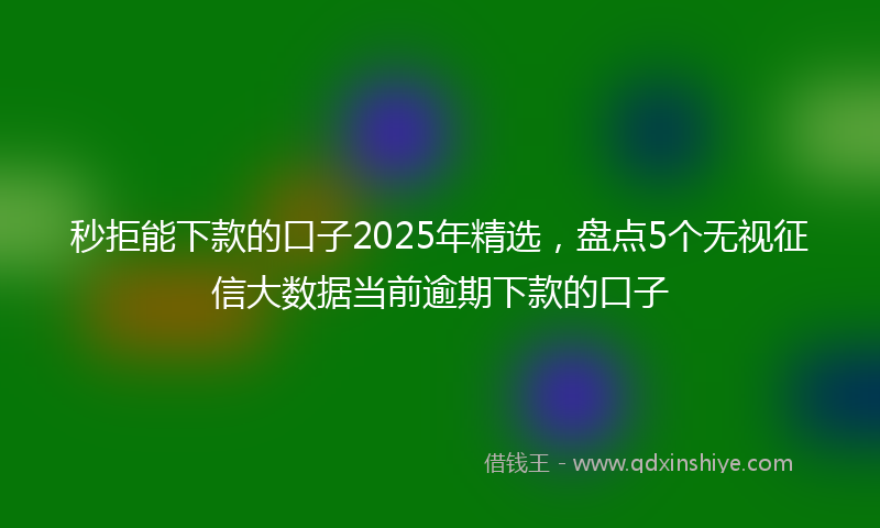 秒拒能下款的口子2025年精选，盘点5个无视征信大数据当前逾期下款的口子