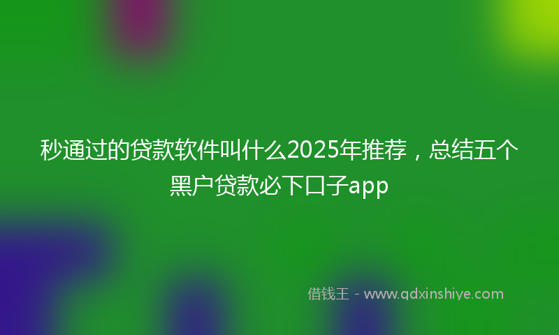 秒通过的贷款软件叫什么2025年推荐，总结五个黑户贷款必下口子app