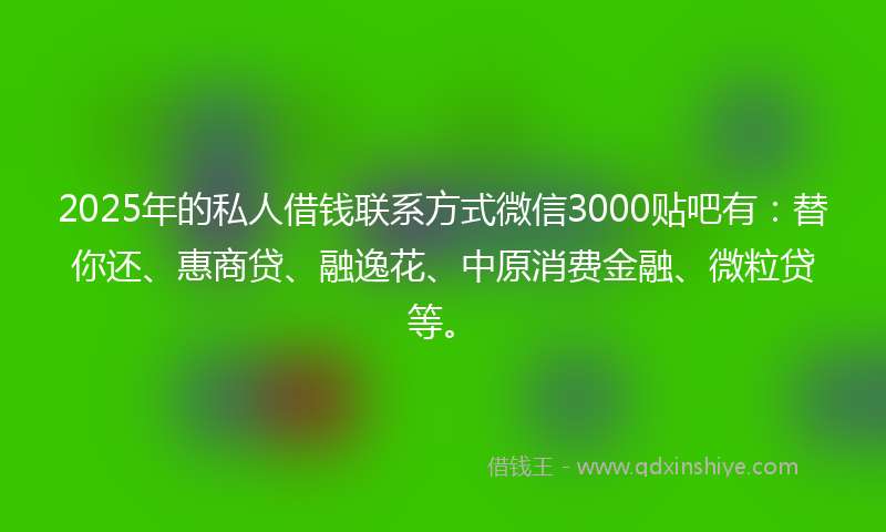2025年的私人借钱联系方式微信3000贴吧有：替你还、惠商贷、融逸花、中原消费金融、微粒贷等。