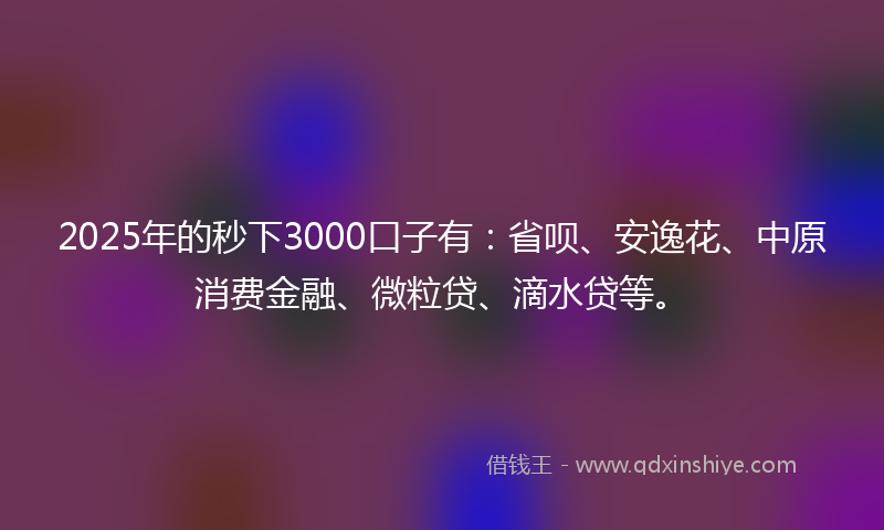 2025年的秒下3000口子有：省呗、安逸花、中原消费金融、微粒贷、滴水贷等。