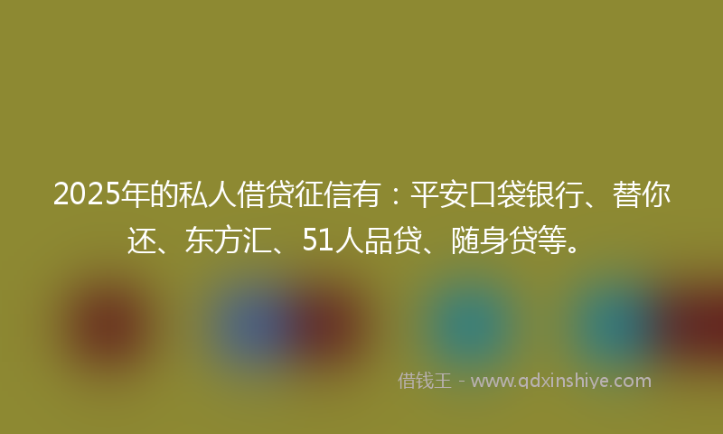 2025年的私人借贷征信有:平安口袋银行、替你还、东方汇、51人品贷、随身贷等。