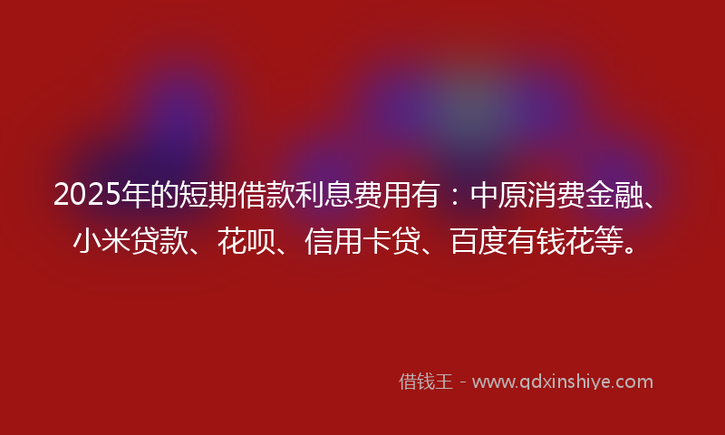 2025年的短期借款利息费用有：中原消费金融、小米贷款、花呗、信用卡贷、百度有钱花等。