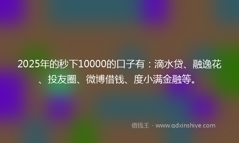 2025年的秒下10000的口子有：滴水贷、融逸花、投友圈、微博借钱、度小满金融等。
