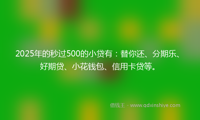 2025年的秒过500的小贷有：替你还、分期乐、好期贷、小花钱包、信用卡贷等。