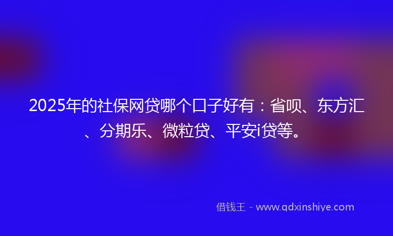 2025年的社保网贷哪个口子好有：省呗、东方汇、分期乐、微粒贷、平安i贷等。