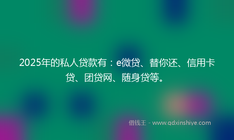 2025年的私人贷款有：e微贷、替你还、信用卡贷、团贷网、随身贷等。