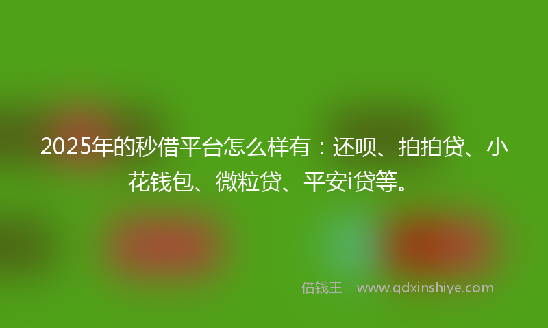 2025年的秒借平台怎么样有：还呗、拍拍贷、小花钱包、微粒贷、平安i贷等。