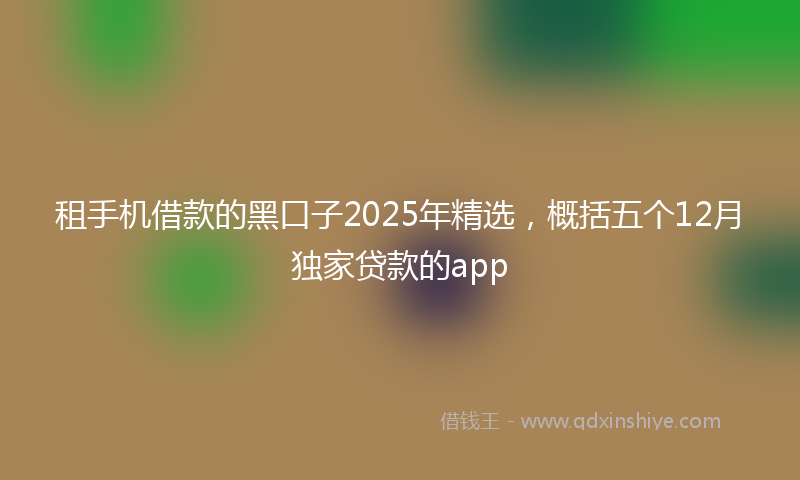 租手机借款的黑口子2025年精选，概括五个12月独家贷款的app