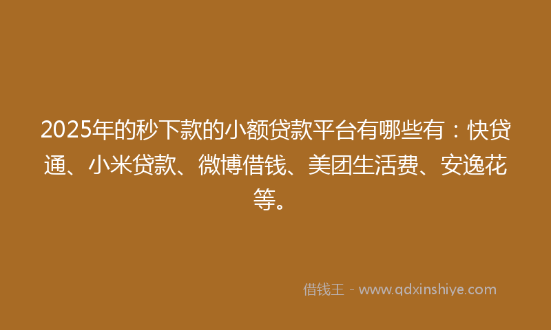 2025年的秒下款的小额贷款平台有哪些有：快贷通、小米贷款、微博借钱、美团生活费、安逸花等。