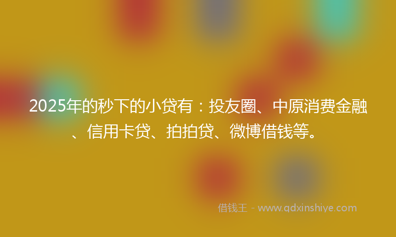 2025年的秒下的小贷有：投友圈、中原消费金融、信用卡贷、拍拍贷、微博借钱等。