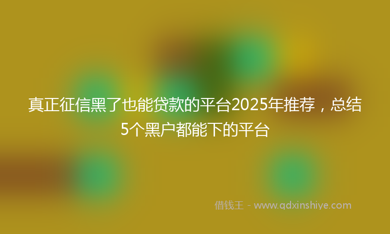 真正征信黑了也能贷款的平台2025年推荐,总结5个黑户都能下的平台