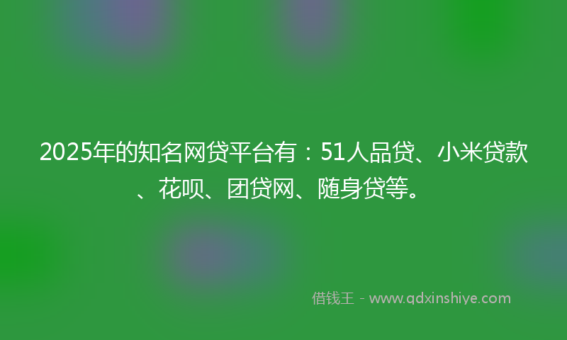 2025年的知名网贷平台有：51人品贷、小米贷款、花呗、团贷网、随身贷等。