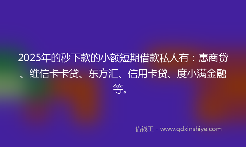 2025年的秒下款的小额短期借款私人有：惠商贷、维信卡卡贷、东方汇、信用卡贷、度小满金融等。