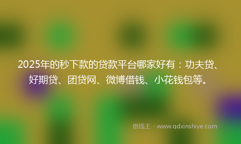2025年的秒下款的贷款平台哪家好有：功夫贷、好期贷、团贷网、微博借钱、小花钱包等。
