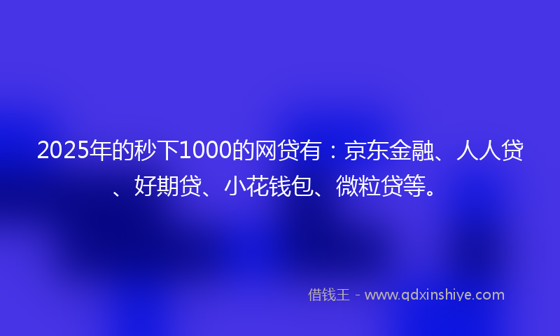 2025年的秒下1000的网贷有：京东金融、人人贷、好期贷、小花钱包、微粒贷等。