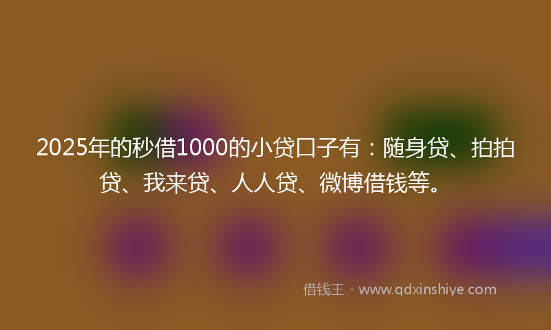 2025年的秒借1000的小贷口子有：随身贷、拍拍贷、我来贷、人人贷、微博借钱等。