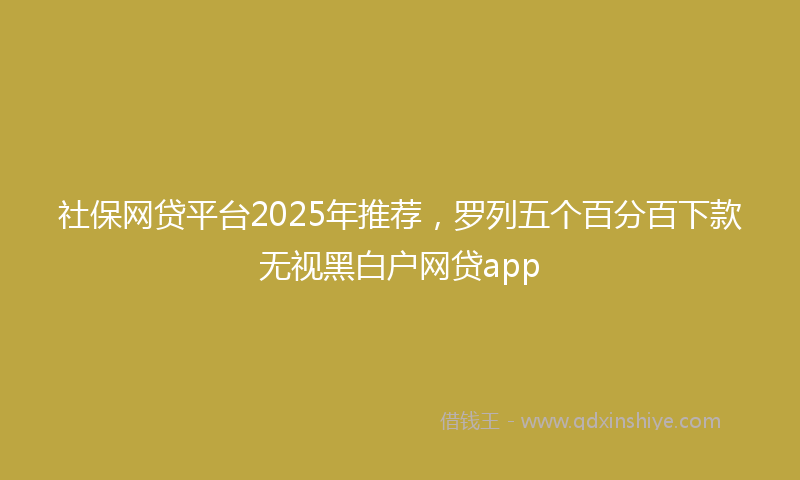 社保网贷平台2025年推荐，罗列五个百分百下款无视黑白户网贷app