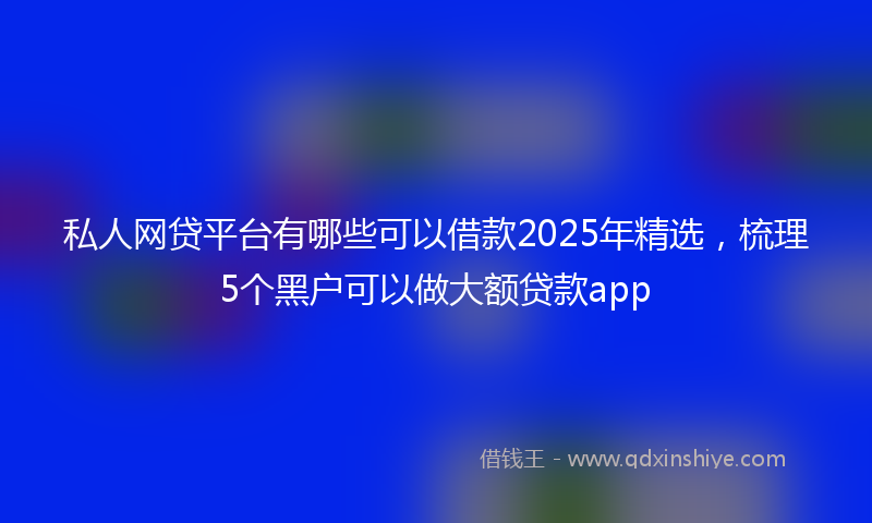 私人网贷平台有哪些可以借款2025年精选，梳理5个黑户可以做大额贷款app