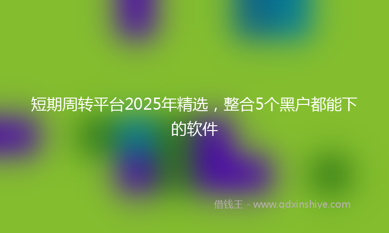短期周转平台2025年精选,整合5个黑户都能下的软件