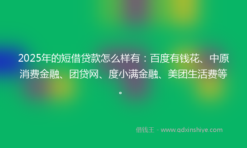 2025年的短借贷款怎么样有：百度有钱花、中原消费金融、团贷网、度小满金融、美团生活费等。
