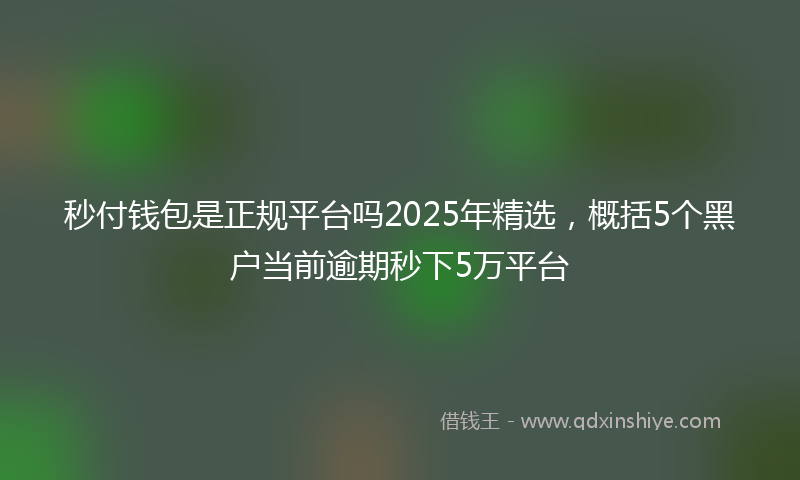 秒付钱包是正规平台吗2025年精选，概括5个黑户当前逾期秒下5万平台