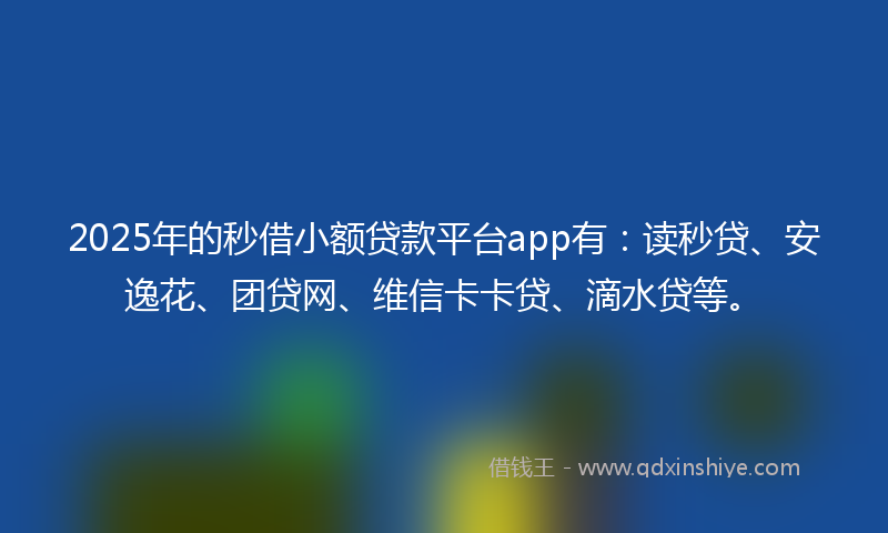 2025年的秒借小额贷款平台app有：读秒贷、安逸花、团贷网、维信卡卡贷、滴水贷等。