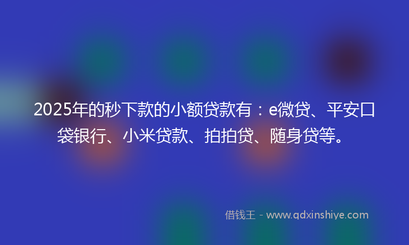2025年的秒下款的小额贷款有：e微贷、平安口袋银行、小米贷款、拍拍贷、随身贷等。
