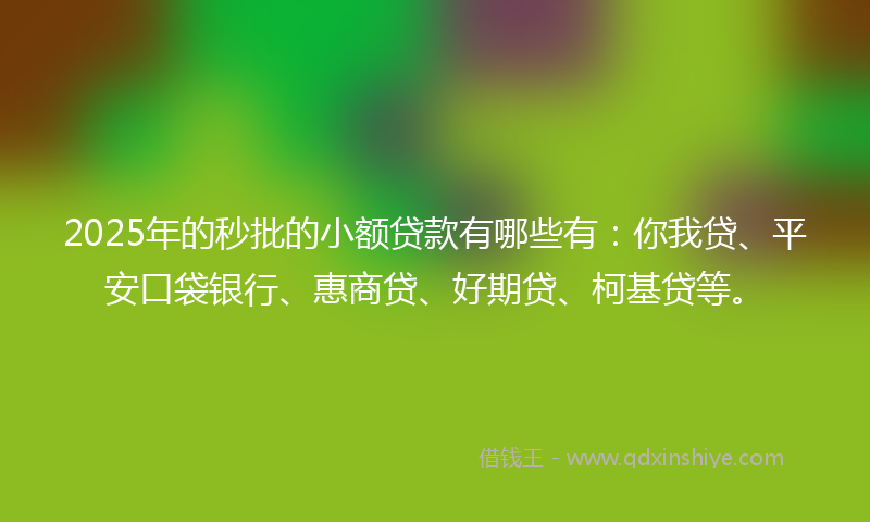 2025年的秒批的小额贷款有哪些有：你我贷、平安口袋银行、惠商贷、好期贷、柯基贷等。