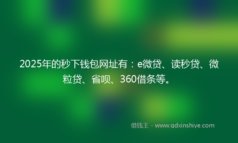 2025年的秒下钱包网址有：e微贷、读秒贷、微粒贷、省呗、360借条等。