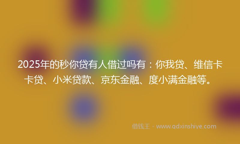 2025年的秒你贷有人借过吗有：你我贷、维信卡卡贷、小米贷款、京东金融、度小满金融等。