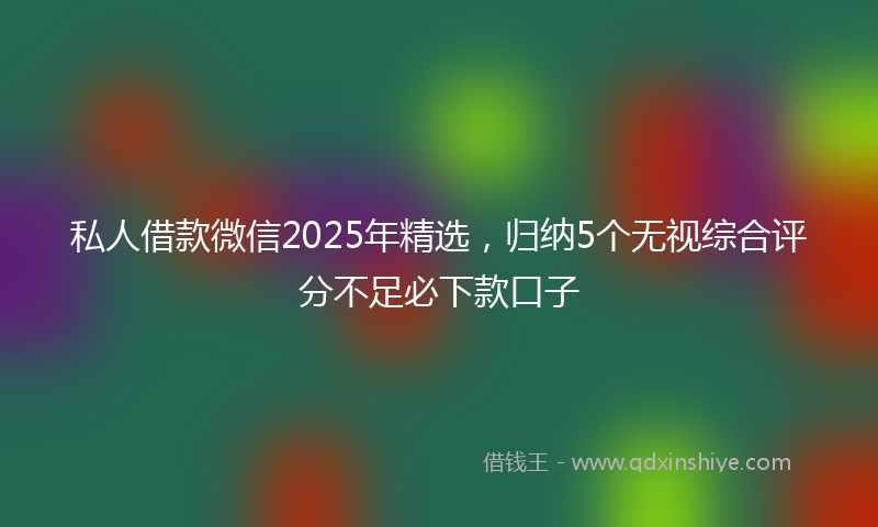 私人借款微信2025年精选，归纳5个无视综合评分不足必下款口子