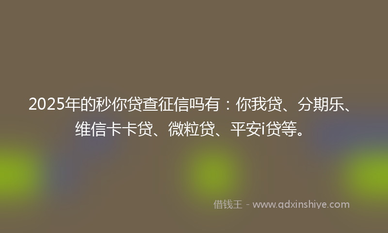 2025年的秒你贷查征信吗有：你我贷、分期乐、维信卡卡贷、微粒贷、平安i贷等。