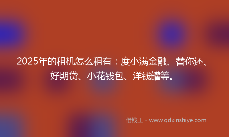 2025年的租机怎么租有：度小满金融、替你还、好期贷、小花钱包、洋钱罐等。