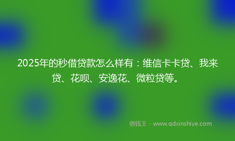 2025年的秒借贷款怎么样有：维信卡卡贷、我来贷、花呗、安逸花、微粒贷等。