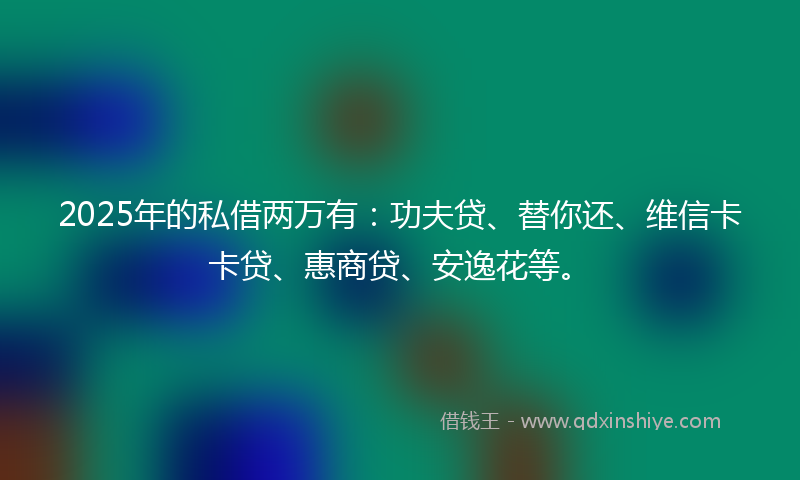2025年的私借两万有：功夫贷、替你还、维信卡卡贷、惠商贷、安逸花等。