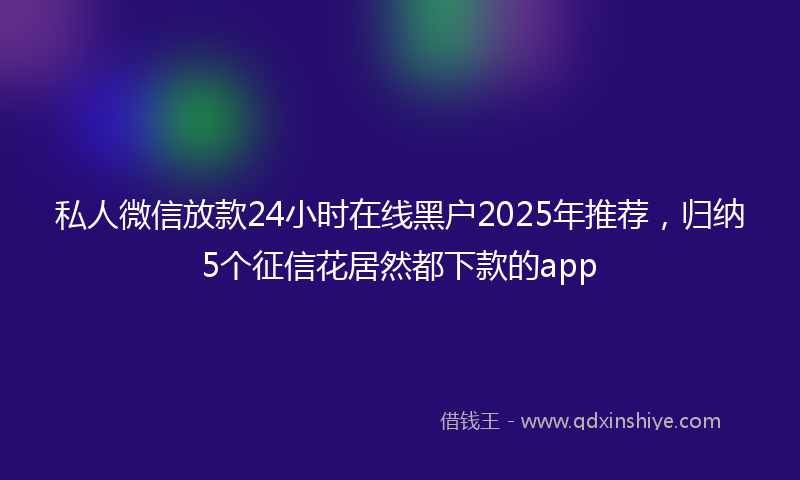 私人微信放款24小时在线黑户2025年推荐，归纳5个征信花居然都下款的app