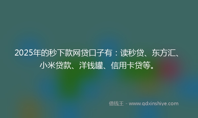 2025年的秒下款网贷口子有：读秒贷、东方汇、小米贷款、洋钱罐、信用卡贷等。