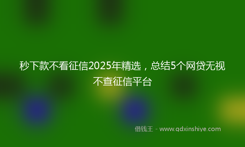 秒下款不看征信2025年精选，总结5个网贷无视不查征信平台