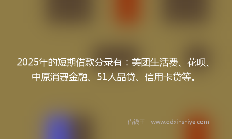 2025年的短期借款分录有：美团生活费、花呗、中原消费金融、51人品贷、信用卡贷等。