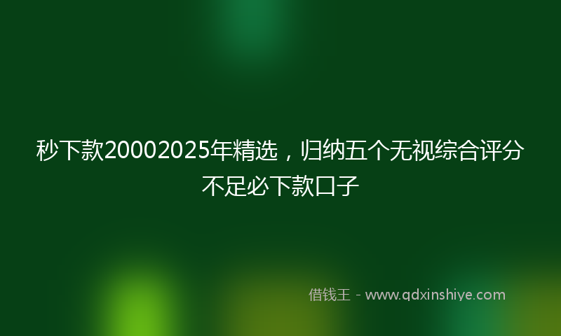 秒下款20002025年精选，归纳五个无视综合评分不足必下款口子