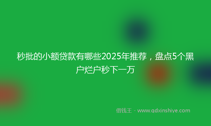 秒批的小额贷款有哪些2025年推荐，盘点5个黑户烂户秒下一万